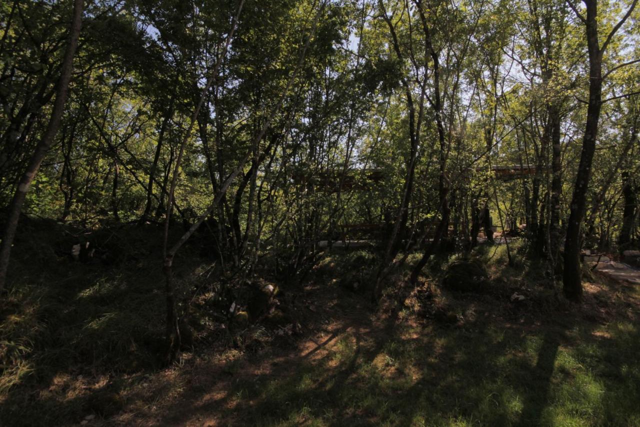 Vukova Dolina Apartments Cetinje Esterno foto